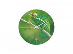 Часы настенные Nicole Time NT503 в Витиме - vitim.mebel-nsk.ru | фото