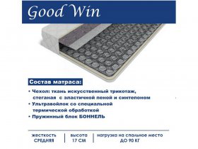 Матрас Good Win (Гуд Вин) в Витиме - vitim.mebel-nsk.ru | фото