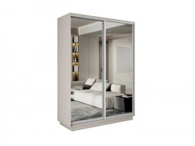 Шкаф-купе двухдверный Экспресс-2 (зеркало/зеркало) в Витиме - vitim.mebel-nsk.ru | фото